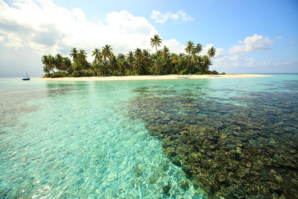 一顿浪漫晚餐